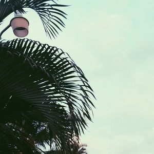 Meet your Posher, Maddy